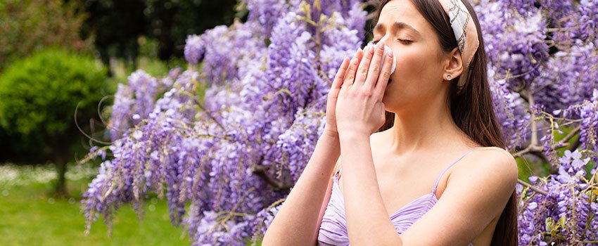 What Is the Best Way to Find Relief From Seasonal Allergies?