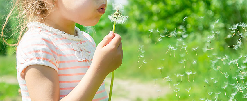 What Should I Know About Seasonal Allergies?
